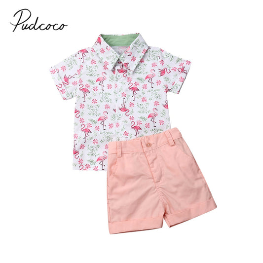 2019 Baby Summer Clothing Toddler Kids Baby Boy Flamingo Shirt Tops+Short Bottoms Formal Party 2PCS Sets Outfit Clothes 1-5Y